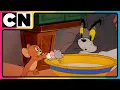 Download Lagu Tom \u0026 Jerry 🐭😺| Nibbles Needs Dinner😍| Kids Cartoon😆| Cat and The Mouse | @cnindia