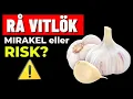 Download Lagu RÅ VITLÖK: Därför pratar LÄKARE om den igen (och hur du ska använda den rätt)