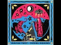 Homecoming (feat. Eniola) - Nubiyan Twist