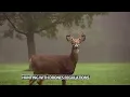 Kentucky sets new regulations for hunting with drones