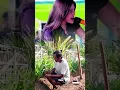 Download Lagu Alolo ya sayang🤩