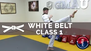 Complete Taekwondo Training: White to Blue Belt Online Course
