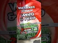 Menards Weed Feed Test