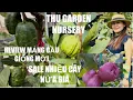 Thu Garden Nursery Sale Alot Of Fruit Trees Some Are Half Price Review New Atemoya tt1035