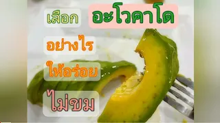  ทำไมการกินอะโวคาโดที่ยังไม่สุกเต็มที่ถึงทำให้รู้สึกขม 