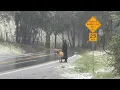 Snow thunderstorms and more wild weather sweep across Bay Area