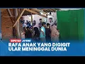 Download Lagu Innalillahi, Rafa Anak yang Digigit Ular Weling di Pekalongan Meninggal Dunia