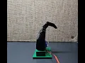 MXET 375 Final Project Demo