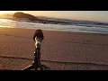 Download Lagu Lish Grooves - Waves, Nada Mas