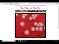 How to fill out a flowchart for the first unknown bacteria