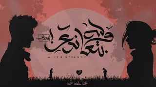 Seif Leo W Leh Betaandy سيف ليو و ليه بتعاندي Official Lyrics Video  Seif Leo W Leh Betaandy سيف ليو و ليه بتعاندي Official Lyrics Video