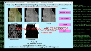 Python Code On Corn Leaf Disease Detection Using Neural Network CNN Corn Leaf Disease Analysis