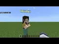 Minecraft Server Using WEBSOCKETS ONLY Proof of Concept