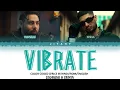 VIbrate Lyrics Video - KR$NA Ft. Badshah | Phenom (COLOR CODED LYRIC VIDEO IN HINDI/ROM/ ENGLISH )