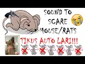 Download Lagu [10 MINIT] BUNYI KUAT UNTUK MENAKUTKAN TIKUS \u0026 CENCURUT | SOUND TO SCARE MOUSE \u0026 RATS