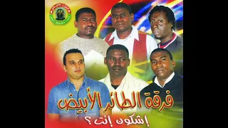 White Bird Band Libyan Reggae Music ريقي ليبي فرقة الطائر الأبيض القلب حالف 