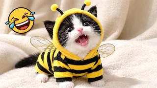 😂 Try Not to Laugh | Funniest Cats and Dogs | Funny Animals 2026 🐱🐶
