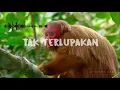 Download Lagu Endank Soekamti - Tak terlupakan (Audio spektrum + lirik)
