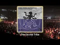 Hugel, Ochok, Jenn Morel, KAYA (US)– Party Started feat. French Caviar (Extended Mix) - #afrohouse