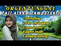 Download Lagu Dangdut orgentunggal spesial lagu campursari paling top