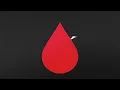 Joep Beving - Pax (Visualizer)