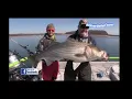 Beaver Lake AR Striper Fishing Guide DIY Educational Catch GIANT Striped Bass on Beaver Lake