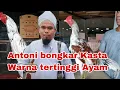 Download Lagu antoni sebut kasta warna tertinggi