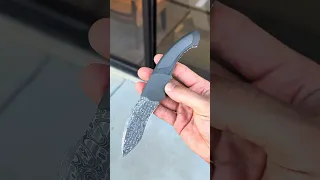 استفانو ناردلی آرمان شهر دندنها