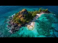 Download Lagu De visser stuitte per ongeluk op een onbewoond eiland. Toen hij aan land ging, werd zijn gezicht ble