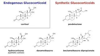 Glucocorticoids: Mechanisms and Side Effects