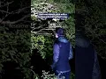Download Lagu Burung bulbul menyamai nada suara lawannya dalam duel nyanyian