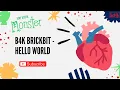 1 B4K Brickbit - Hello World