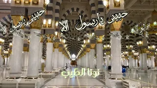 حبيبي يارسول الله تامر حسني 