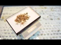 Pawn Shops Suffolk County NY - Major Pawn Metropolitan PawnBroker