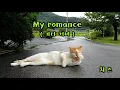 치즈 (CHEEZE) - My romance ( 기타 커버 guitar cover )