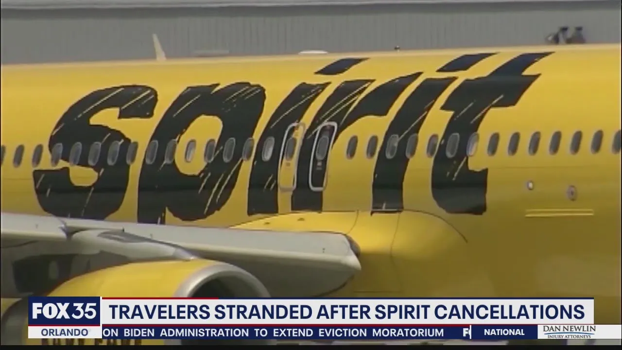 Spirit Airlines Airbus A320 Sharklets Landing / Takeoff -- ORD International Airport PlaneSpotting