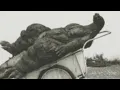 Godzilla had a stroke trying to read this