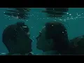 الأغنية التركية يوروم نارديسن مترجمة للعربية (Lyrics) Ezhel - Nerdesin (Sözleri)