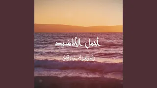 أجمل أناشيد أحمد النفيس 