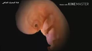 سورة الطارق بصوت الشيخ حسن صالح  سورة الطارق بصوت الشيخ حسن صالح