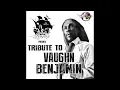 Download Lagu Tribute to Vaughn Benjamin (from Midnite) mixed by Selecta Leevup