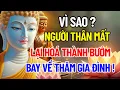 Download Lagu Vì Sao ? Người Thân Mất Lại Hóa Thành Bướm Bay Về Thăm Gia Đình!