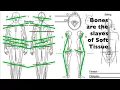 Massage Therapy Assessment live on Patient