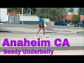 Anaheim CA east - homeless problem