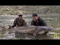 Dangerous Encounters: Face to Face with Death | MEGA EPISODE | Nat Geo Animals