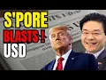 Singapore Dollar Hits 11-Year High Against the US Dollar - What It Means for Your Money
