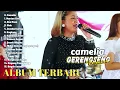 Download Lagu Camelia - Ade Astrid Full Album Terbaik Terpopuler | Kumpulan Lagu Bajidoran Sunda