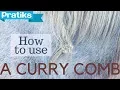 Horse Riding - How to Use the Curry Comb