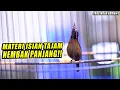 Lagu PANCINGAN KONIN [2] KONIN GACOR FULL ISIAN NEMBAK TAJAM !! COCOK UNTUK PANCINGAN IJOAN \u0026 BAHAN