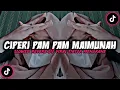Download Lagu DJ CIPERI PAM PAM VIRAL BY DJ SOPAN  TERBARU VIRAL TIKTOK ( SLOWED \u0026 REVERB ) 🎶